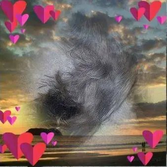 Condolence image of Miriam 