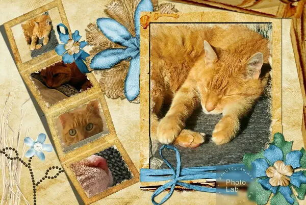 Image from Finn