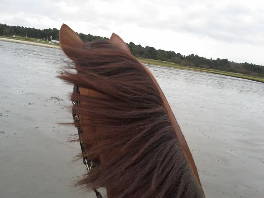 Condolence image of Annette und Luki