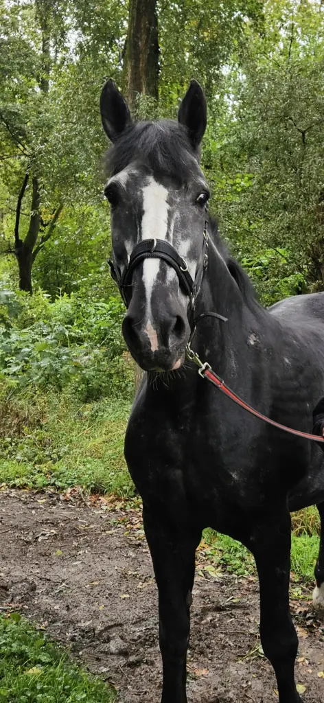Weißer, aber nicht weise 😘