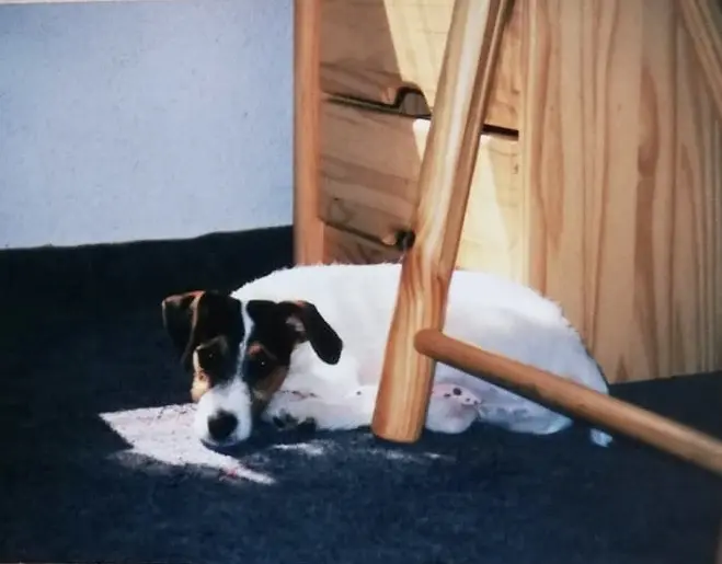 Condolence image of Katja