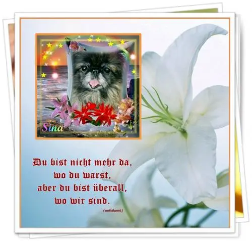 Image from meine kleine süße Sina - meine Prinzessin