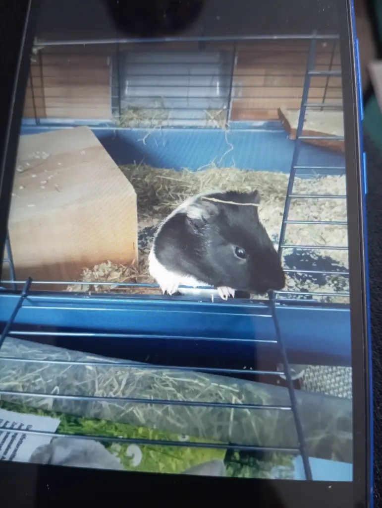 Condolence image of Maike Stepiuk