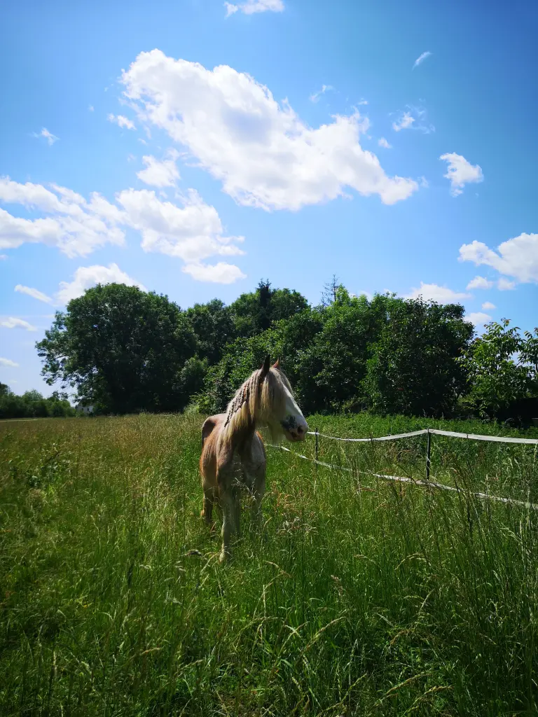 Meine wunderschöne Cecilia