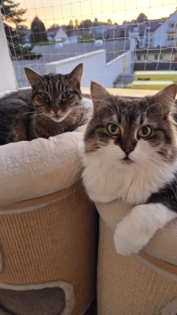 Condolence image of Doris Kahlert