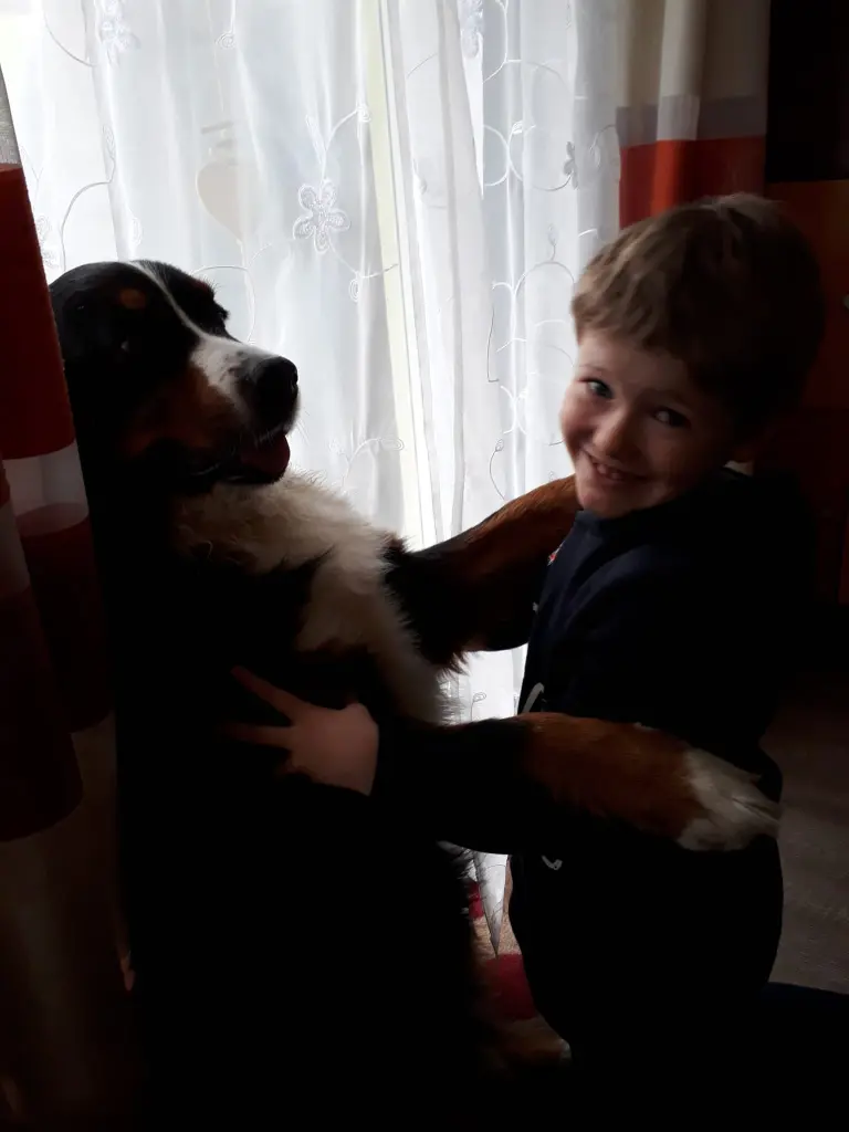 Condolence image of Felix