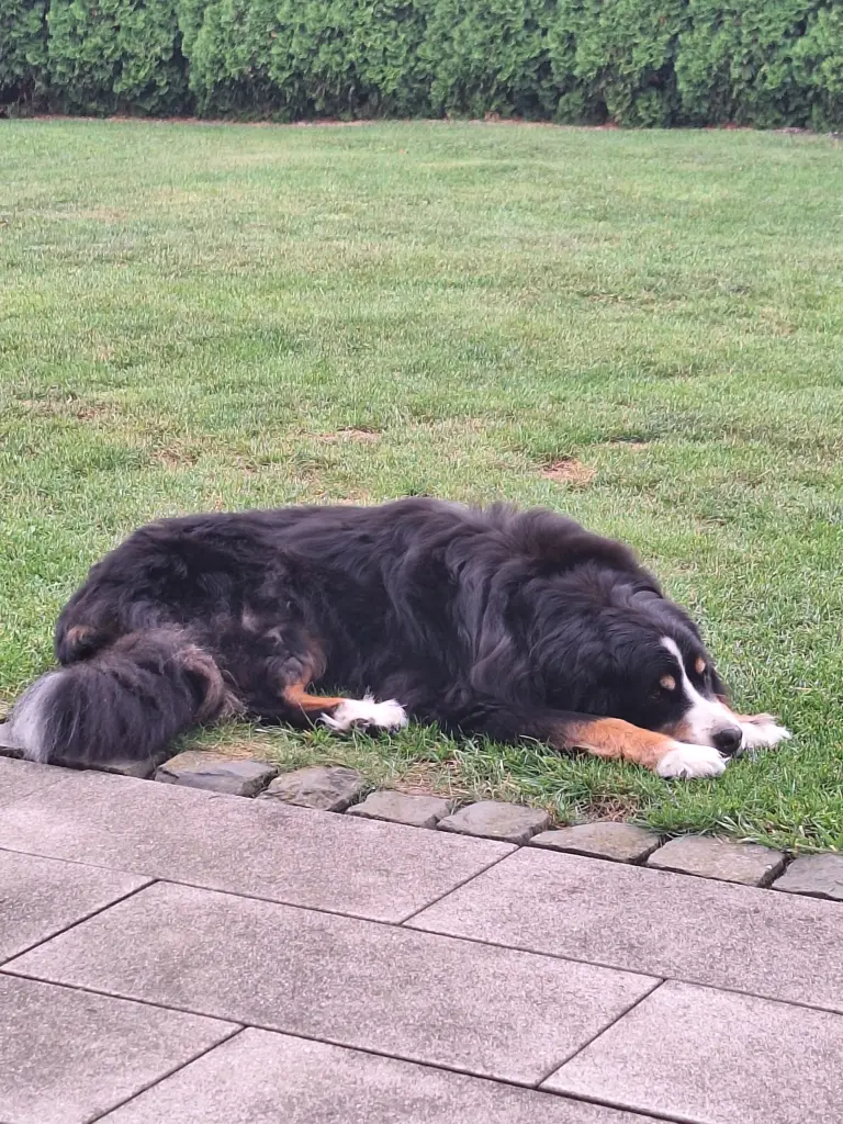 Wir vermissen dich❤️