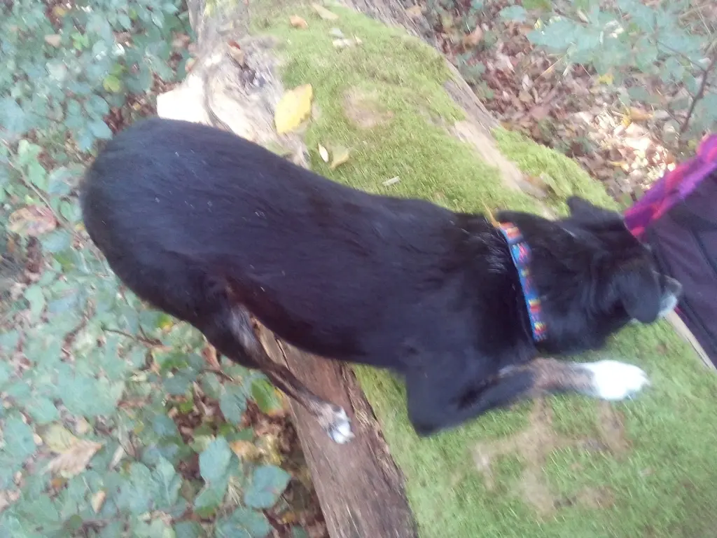 Image from Monty