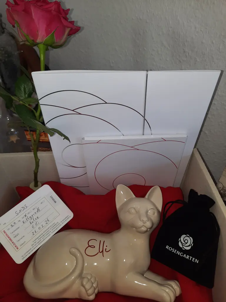 Image from Elli