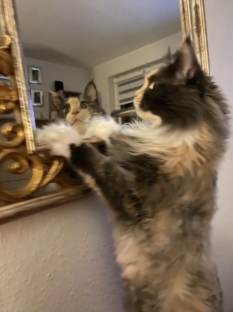 Sie hatte ihren eigenen  Blick auf die Welt .