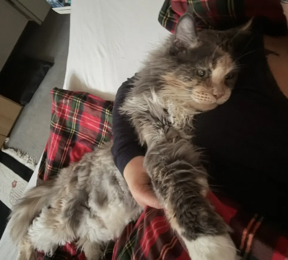 Hier war Yara Platz - ganz nah bei mir .