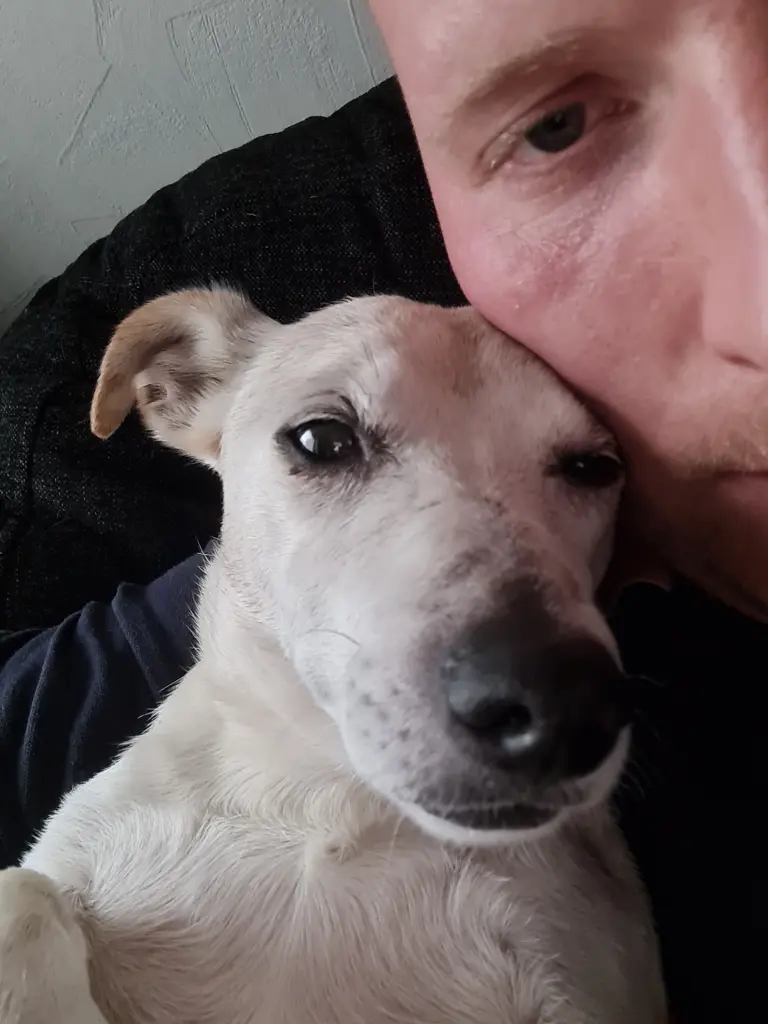 Andachtsbild von Maik Loose