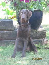 Condolence image of Simone Frauchen