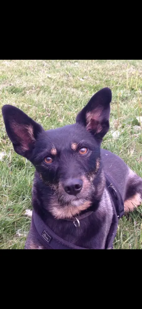 Condolence image of Stefan R