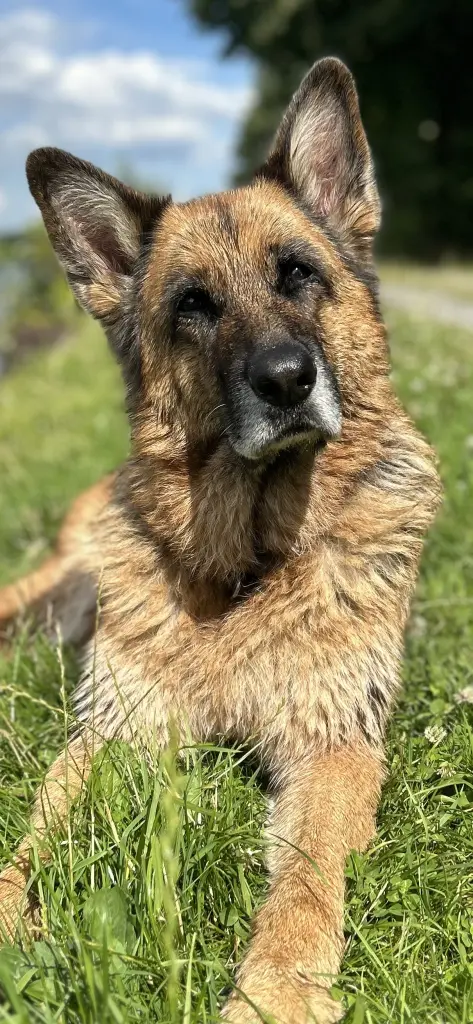 So wird sie mir immer in Gedanken bleiben ❤️💔