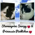 Condolence image of Snoopy und Pünktchen❤️❤️