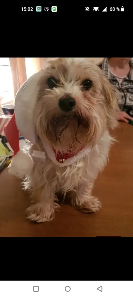 Bei jedem Spaß wolltest du dabei sein .