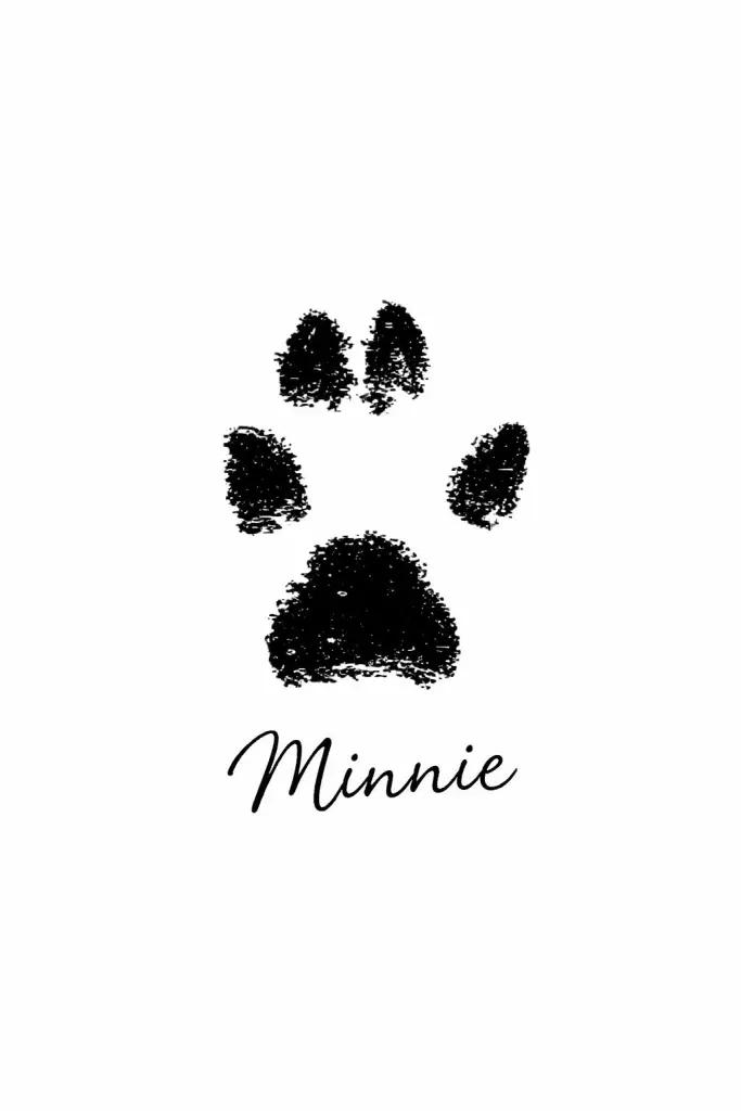 Image from Minnie