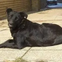 Bild von Sienna