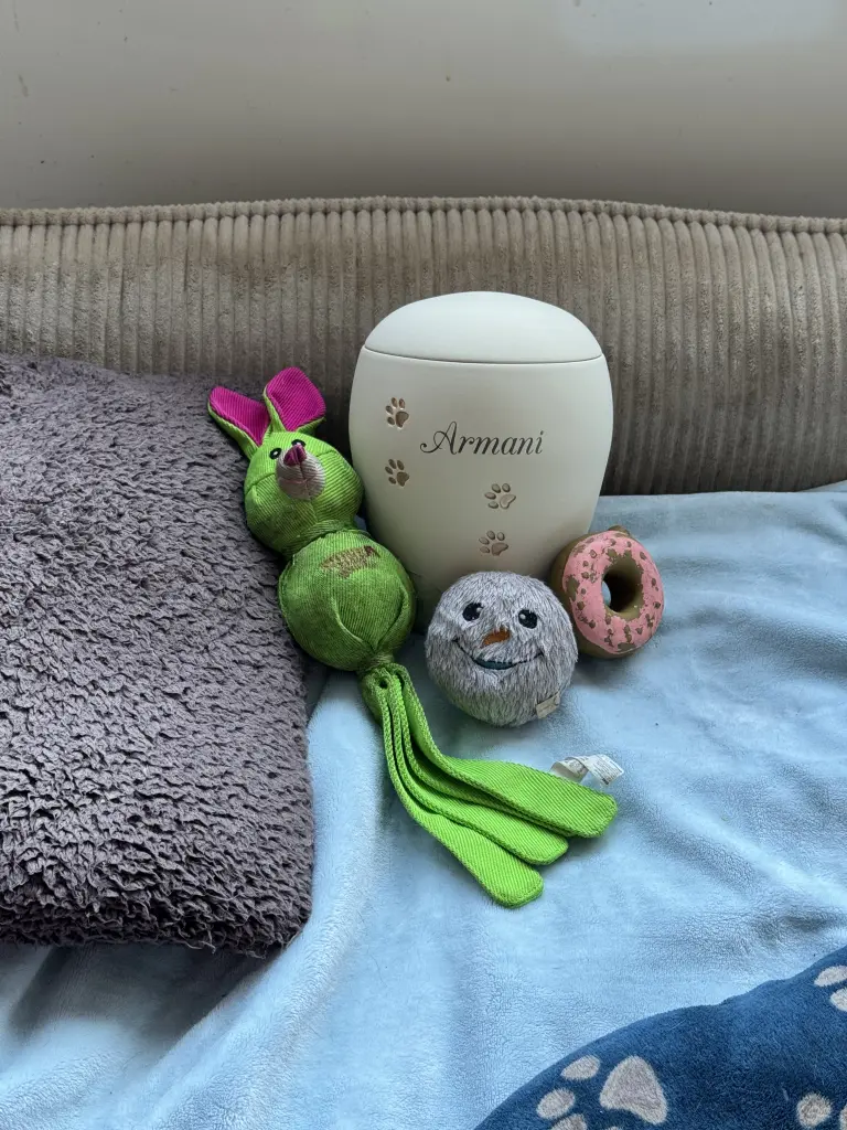 Condolence image of Sonja Hemmer