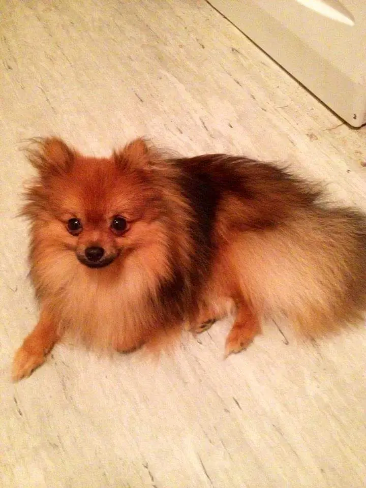 Image from Milow