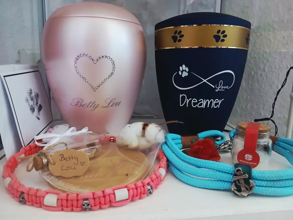 Image from Dreamer