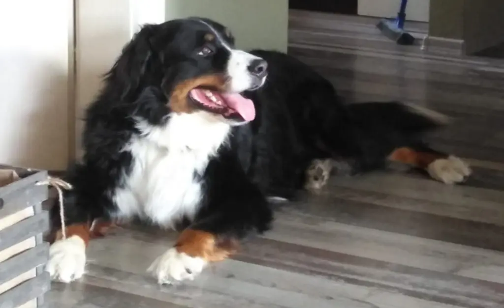 Condolence image of Stephanie Weißkopf