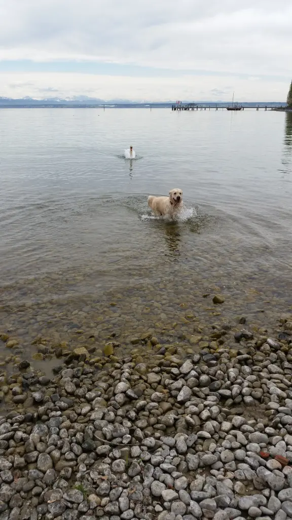 Image from Valentino