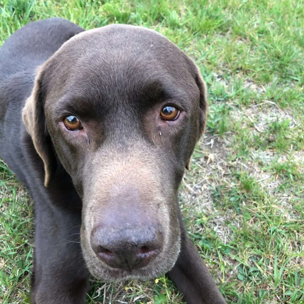 Fotogen war er immer :-)