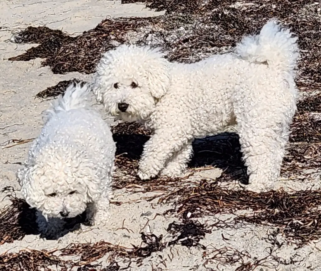 Ihr ward perfekt zusammen