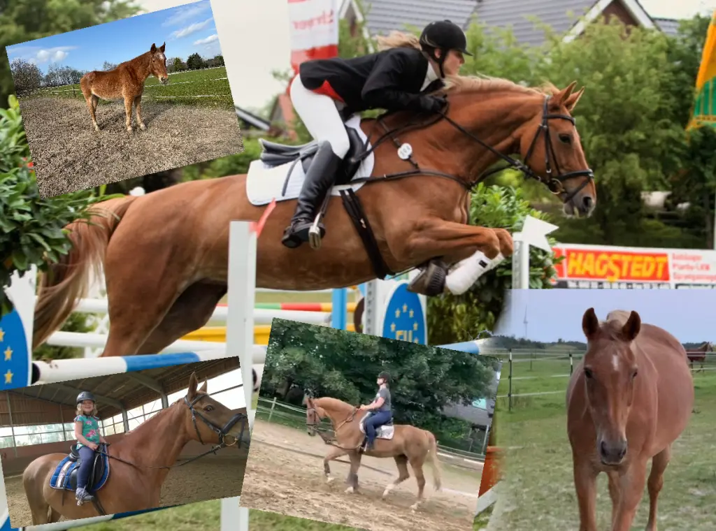 Condolence image of Claudia Witt