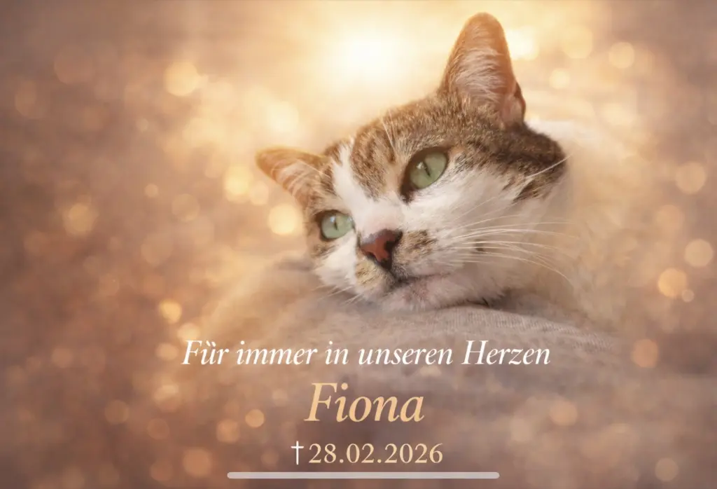 Condolence image of Jessi