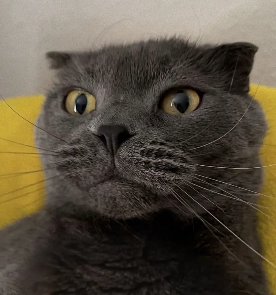 Andachtsbild von Gökce Gökcen