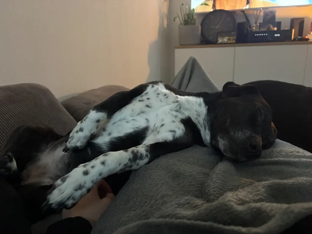 Kuschelmaus!