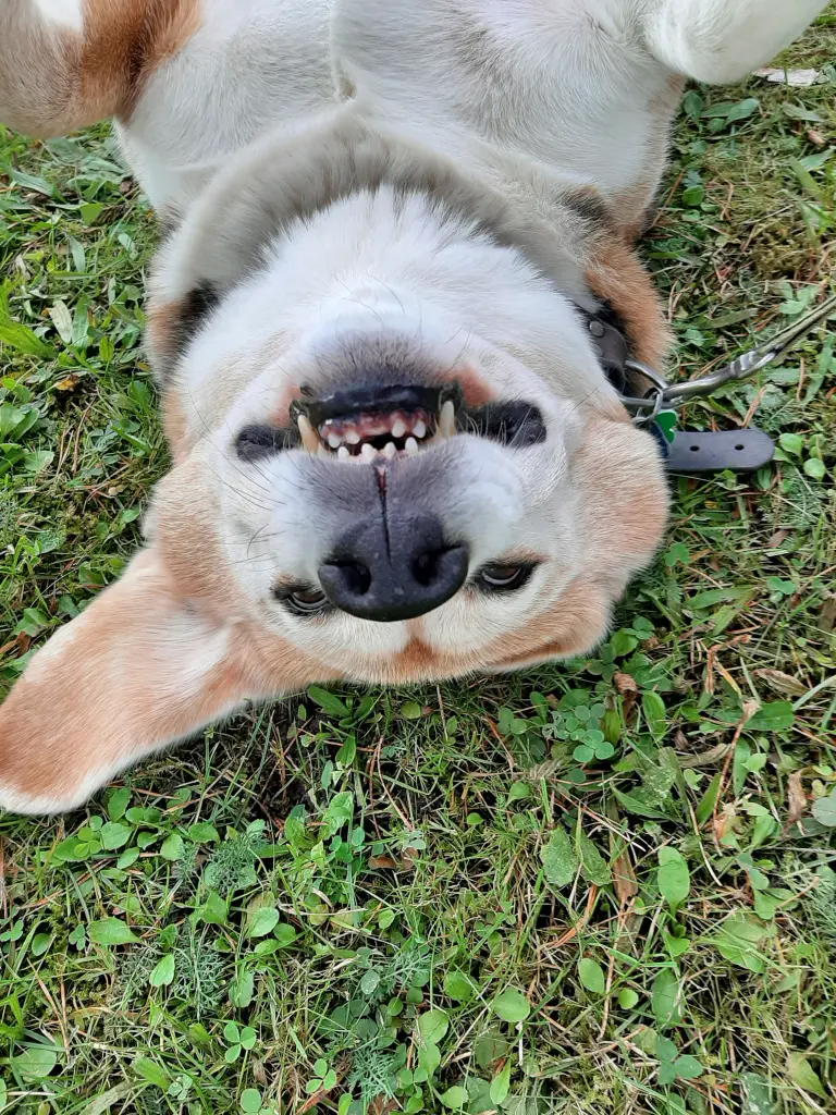 Condolence image of Isabella Iannone