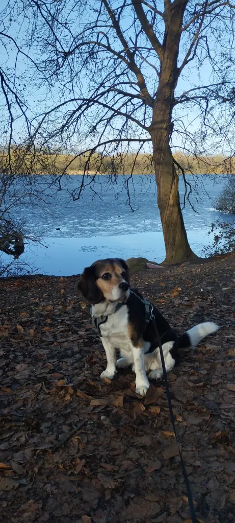 Condolence image of Claudia Stricker