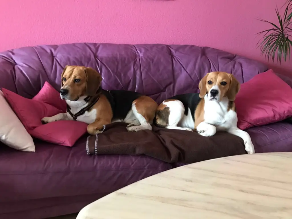 Condolence image of Tomek Smieja