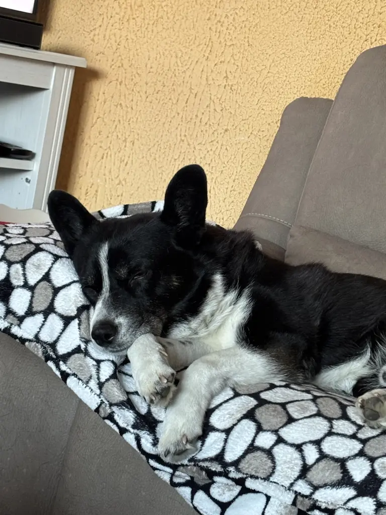 Condolence image of margot an georges felgen