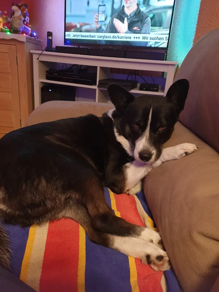 Condolence image of Margot Rausch