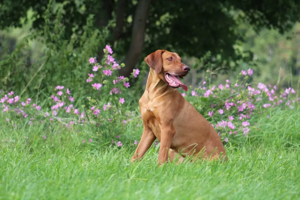 Image from Elli❤️