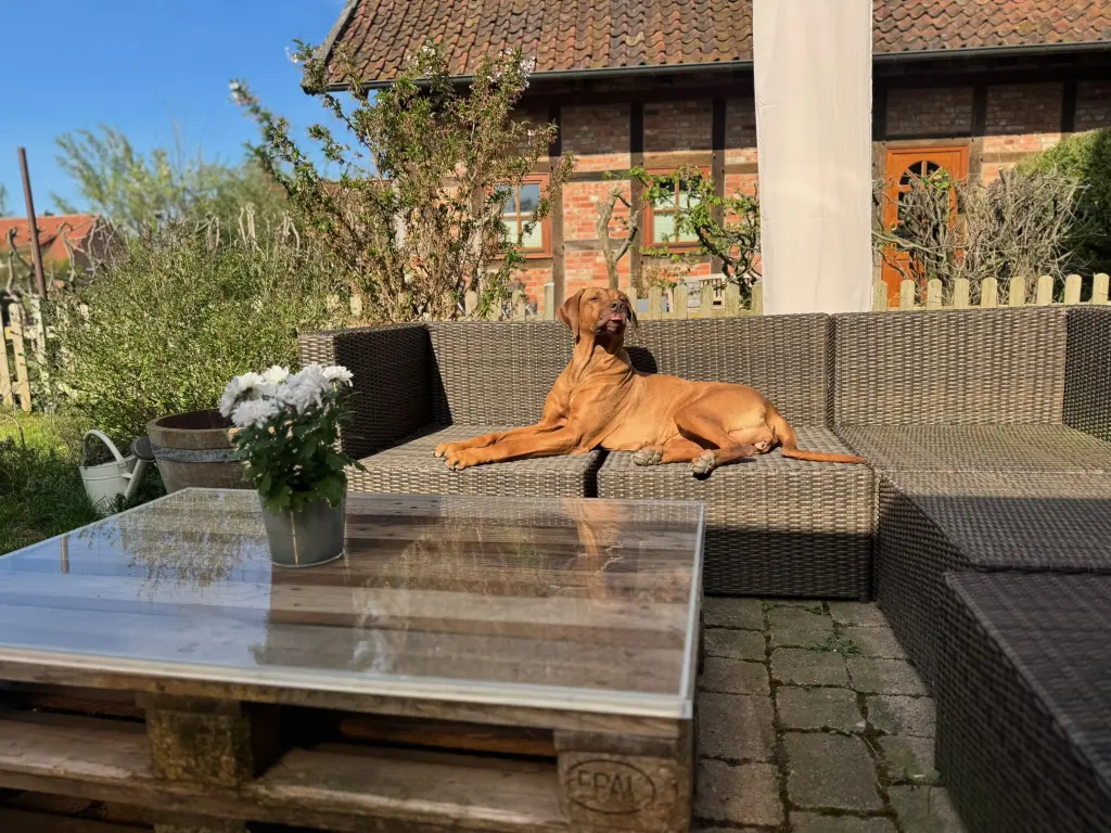 Image from Elli❤️