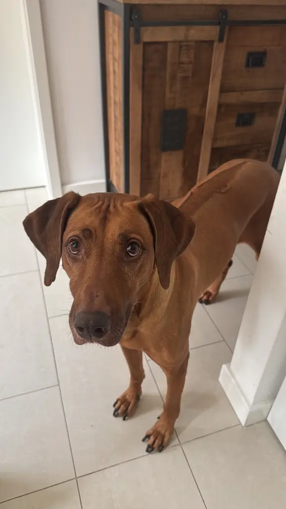 Image from Elli❤️