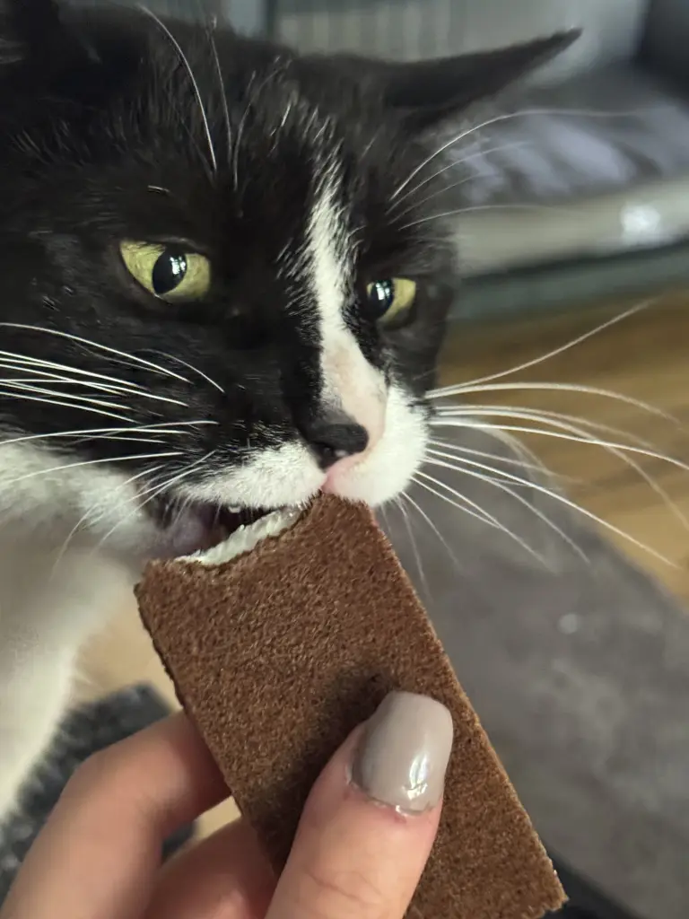 Bild von Milchschnitte