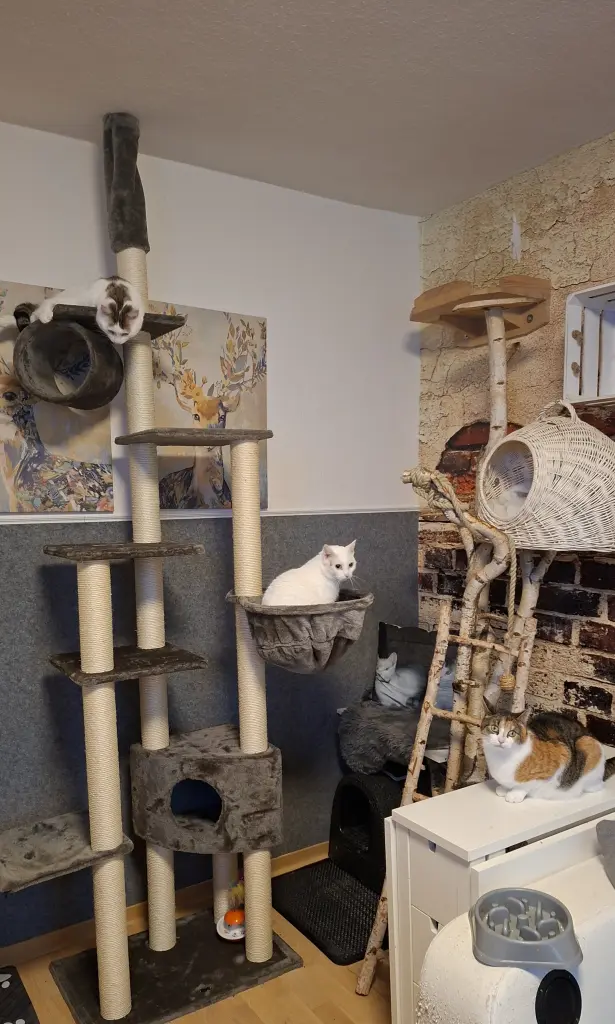 Condolence image of Anja Mallow