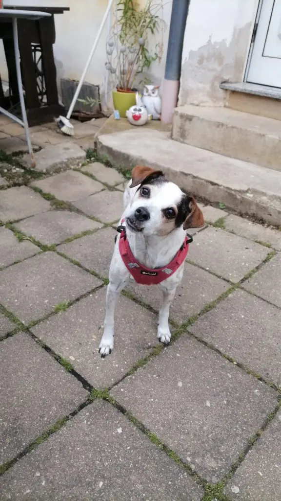 Bild von Nelly