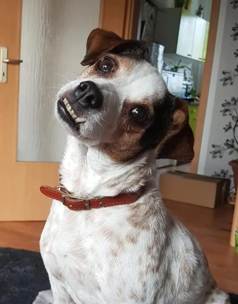 Bild von Nelly
