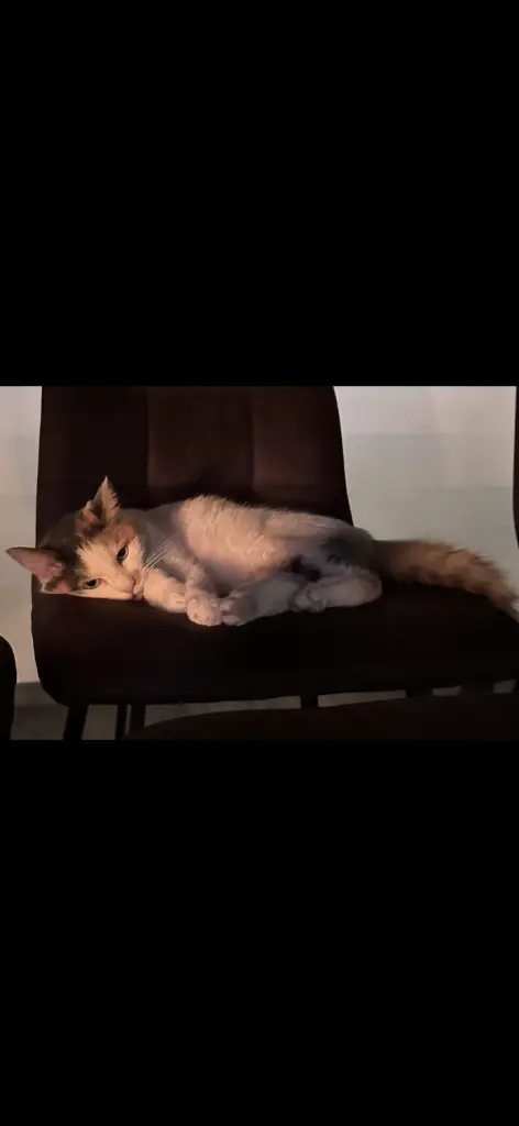 Condolence image of Samantha