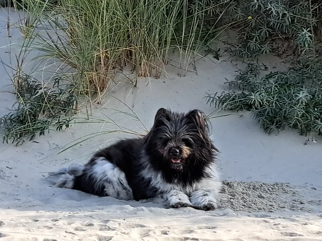 Daaly im letzten gemeinsamen Urlaub.