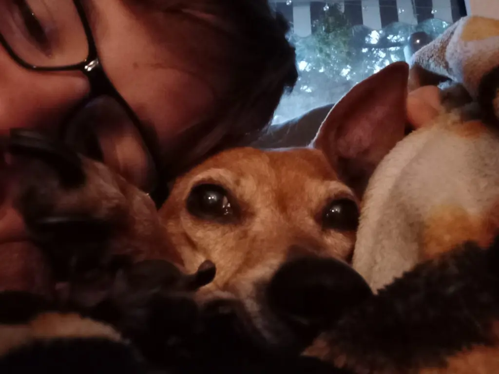 Condolence image of Jörg S.