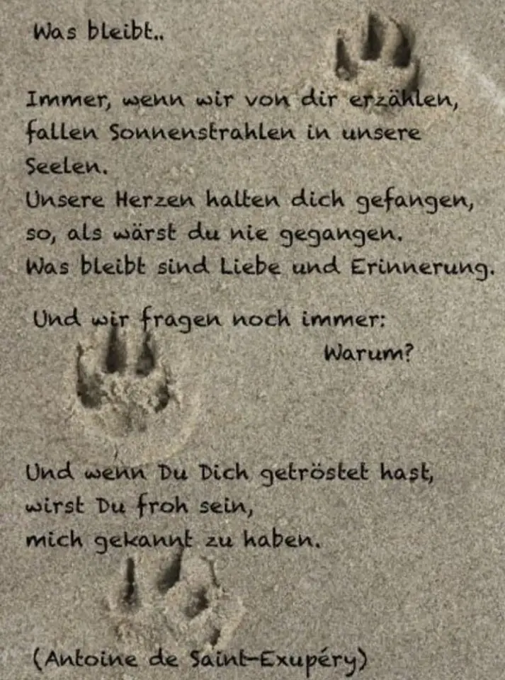 Condolence image of Chipsy´s Mama